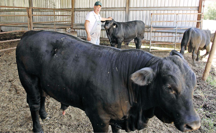 Local ranchers still on shrinking land, but more are working in town